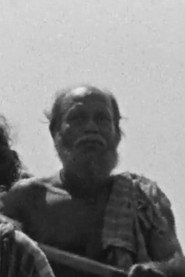 Dorothy Meyer