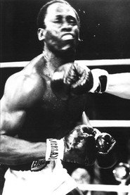 Terrence Beasor