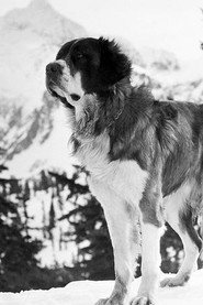 Norther Mallinson