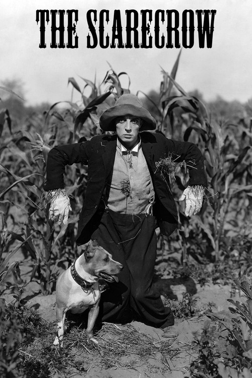The Scarecrow poster