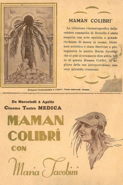 Mother Hummingbird poster