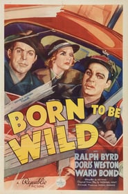 Born to Be Wild poster
