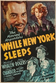 While New York Sleeps poster