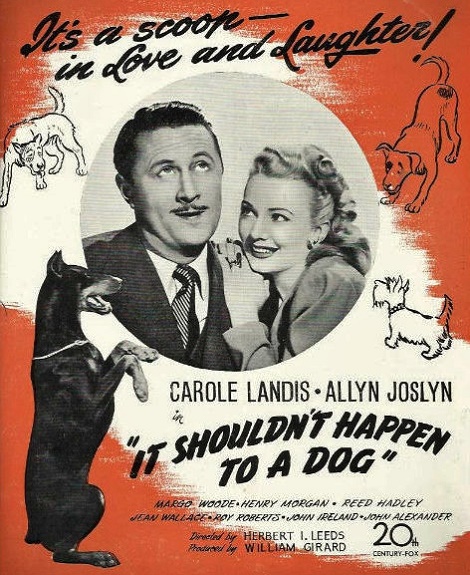 It Shouldn't Happen to a Dog poster