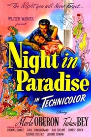 Night in Paradise poster