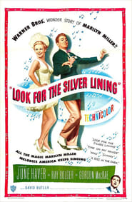 Look for the Silver Lining poster