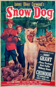 Snow Dog poster