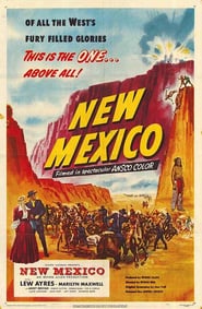 New Mexico poster