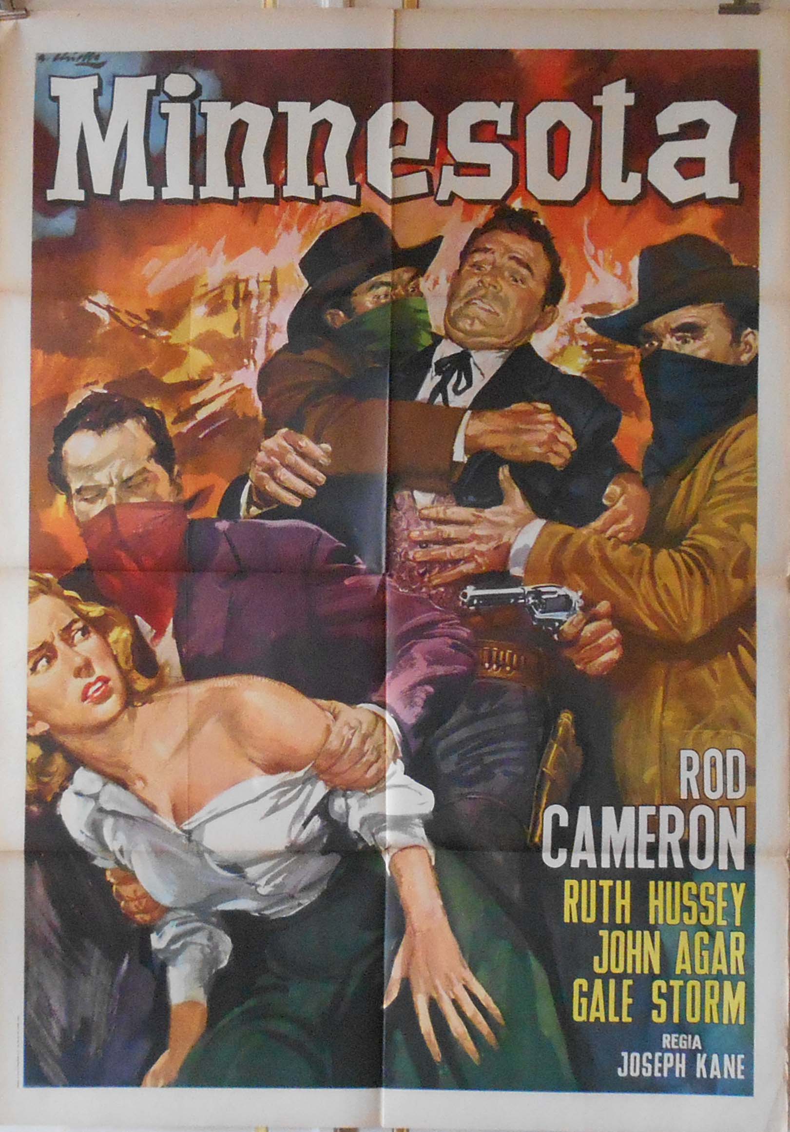 Woman of the North Country poster