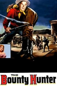 The Bounty Hunter poster