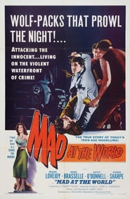 Mad at the World poster