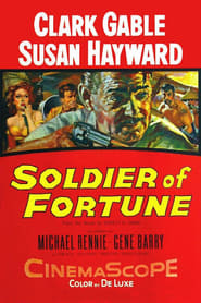 Soldier of Fortune poster