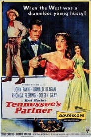Tennessee's Partner poster