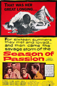 Summer of the Seventeenth Doll poster