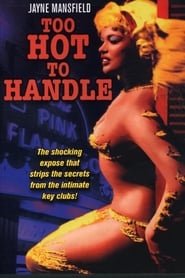 Too Hot to Handle poster