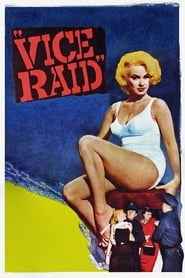 Vice Raid poster