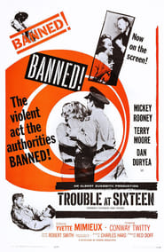 Platinum High School poster