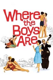 Where the Boys Are poster