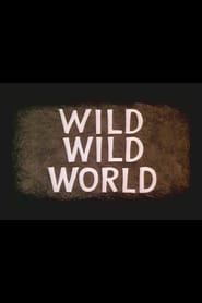 Wild Wild World poster