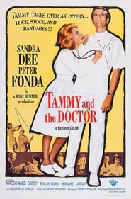 Tammy and the Doctor poster