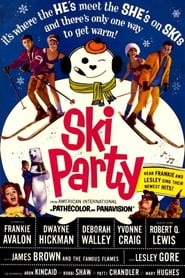 Ski Party poster