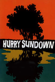 Hurry Sundown poster