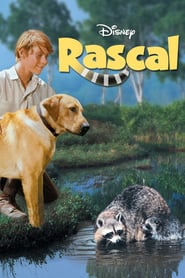 Rascal poster