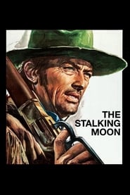 The Stalking Moon poster