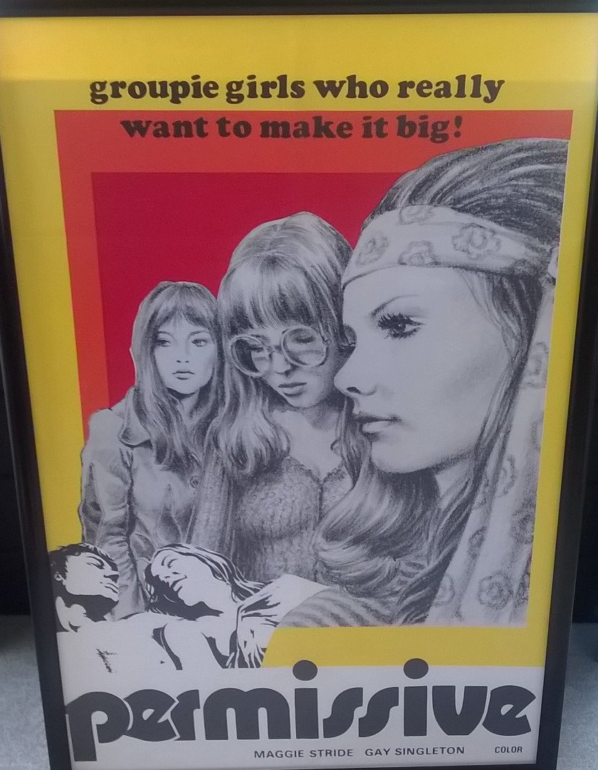 Permissive poster