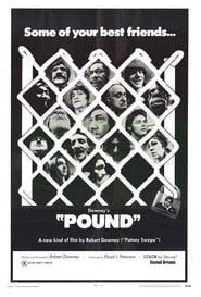 Pound poster