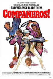 Compañeros poster