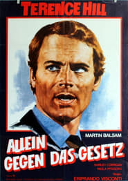The Hassled Hooker poster