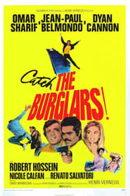 The Burglars poster