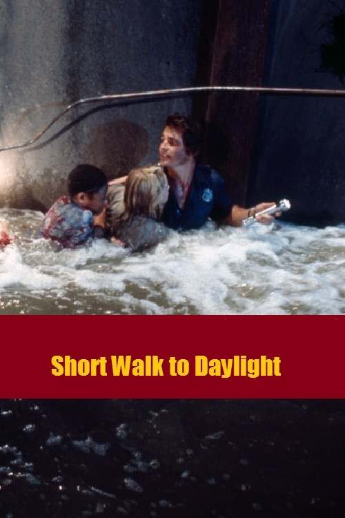 Short Walk to Daylight poster