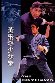 The Skyhawk poster