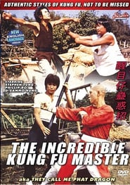The Incredible Kung Fu Master poster