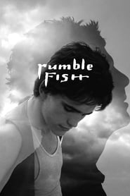 Rumble Fish poster