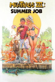 Meatballs III: Summer Job poster