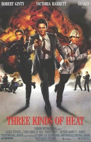 Three Kinds of Heat poster