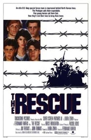 The Rescue poster