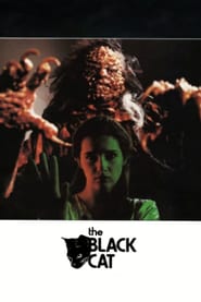The Black Cat poster