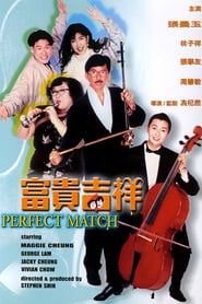 The Perfect Match poster