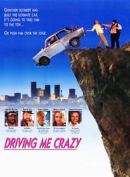 Driving Me Crazy poster