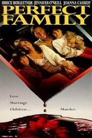 Perfect Family poster