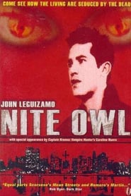 Night Owl poster