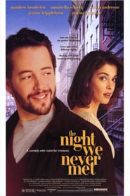 The Night We Never Met poster