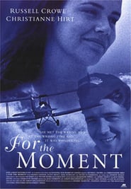 For the Moment poster