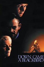 Down Came a Blackbird poster