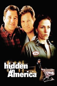 Hidden In America poster