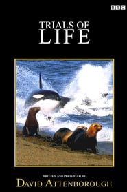 The Trials of Life poster